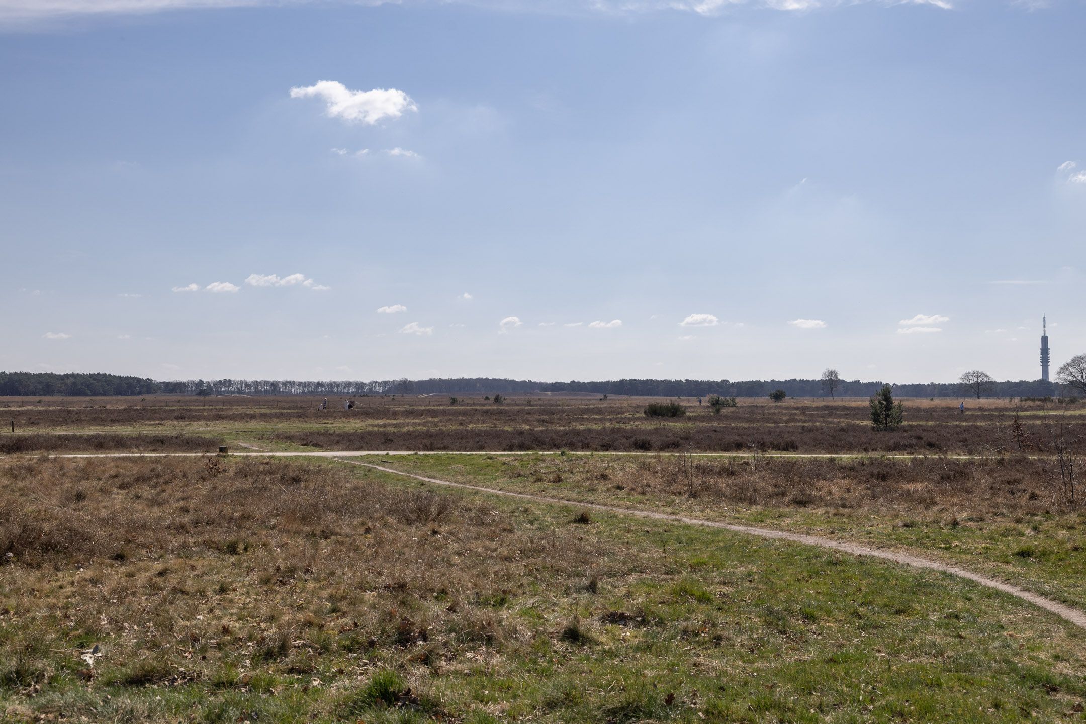 Foto 33 van Karel Doormanlaan 62