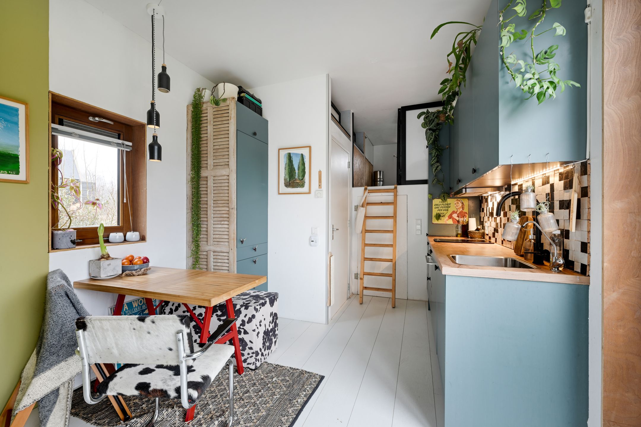 Foto 6 van Cajanuspad 8