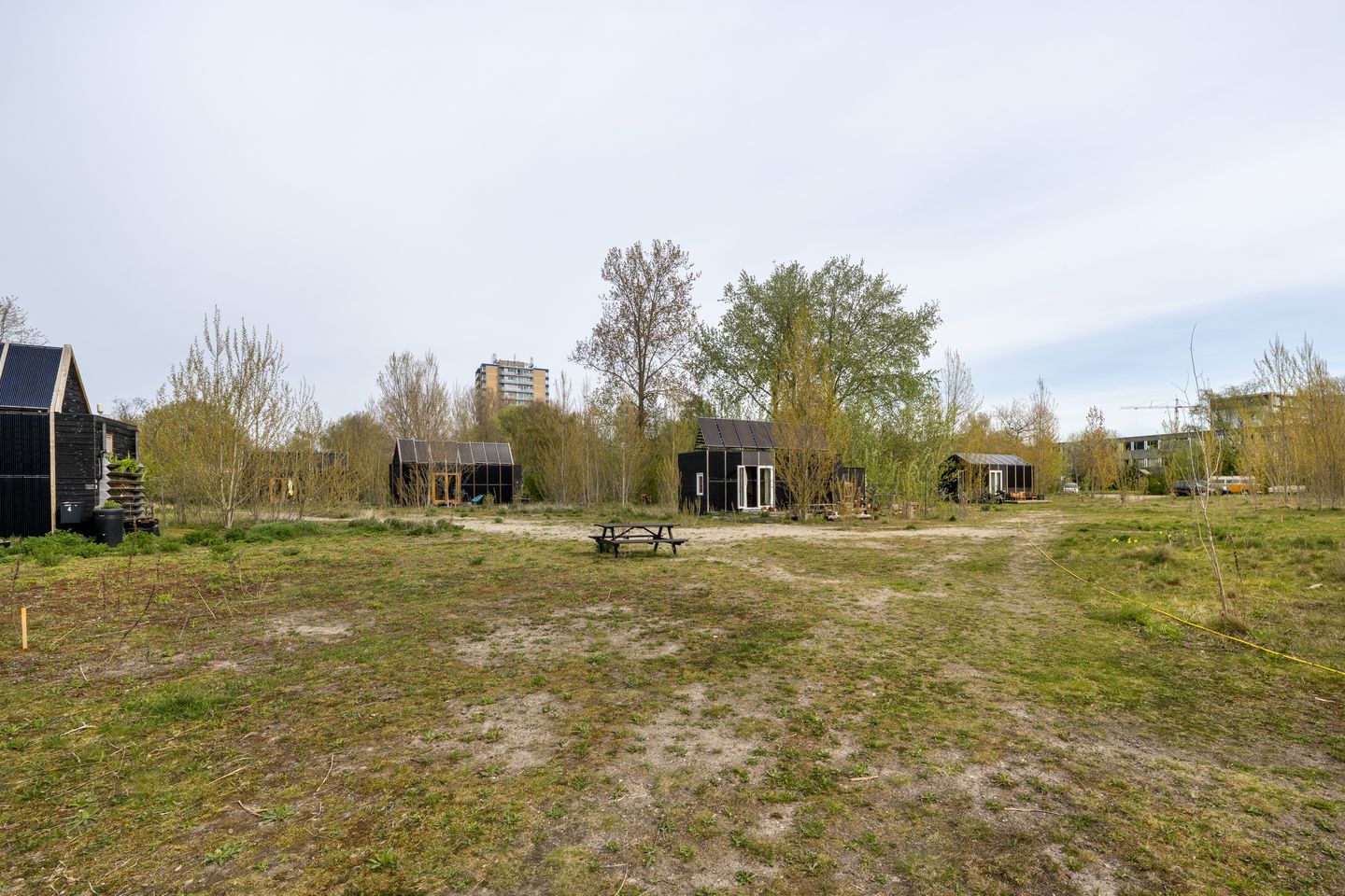 Foto 20 van Cajanuspad 8