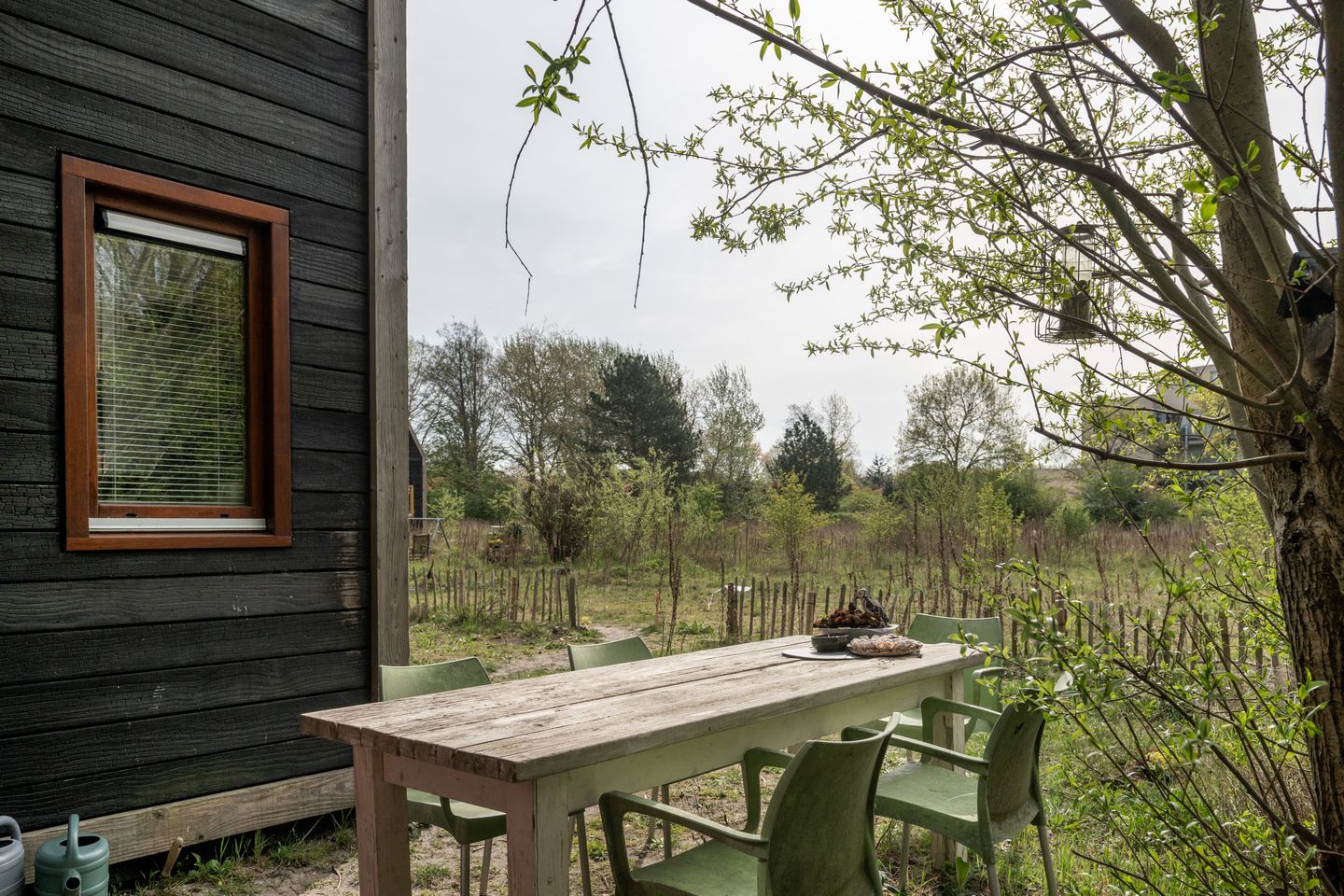 Foto 14 van Cajanuspad 8