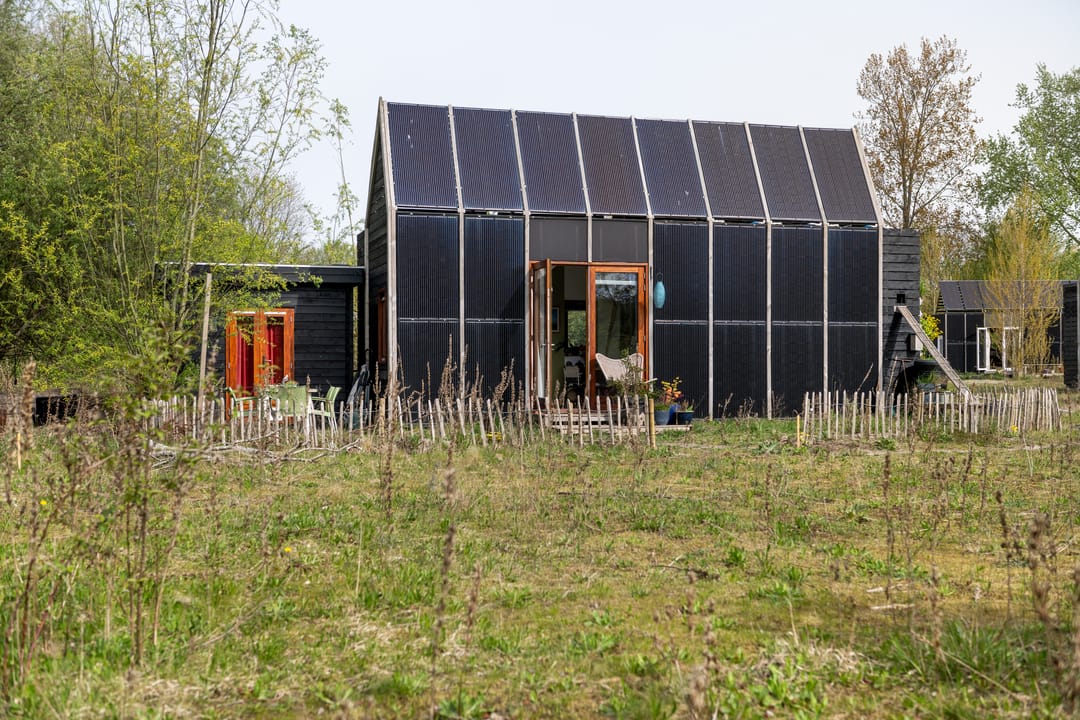 Foto 16 van Cajanuspad 8