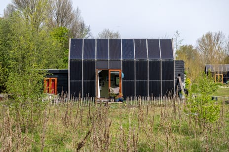 Cajanuspad thumbnail