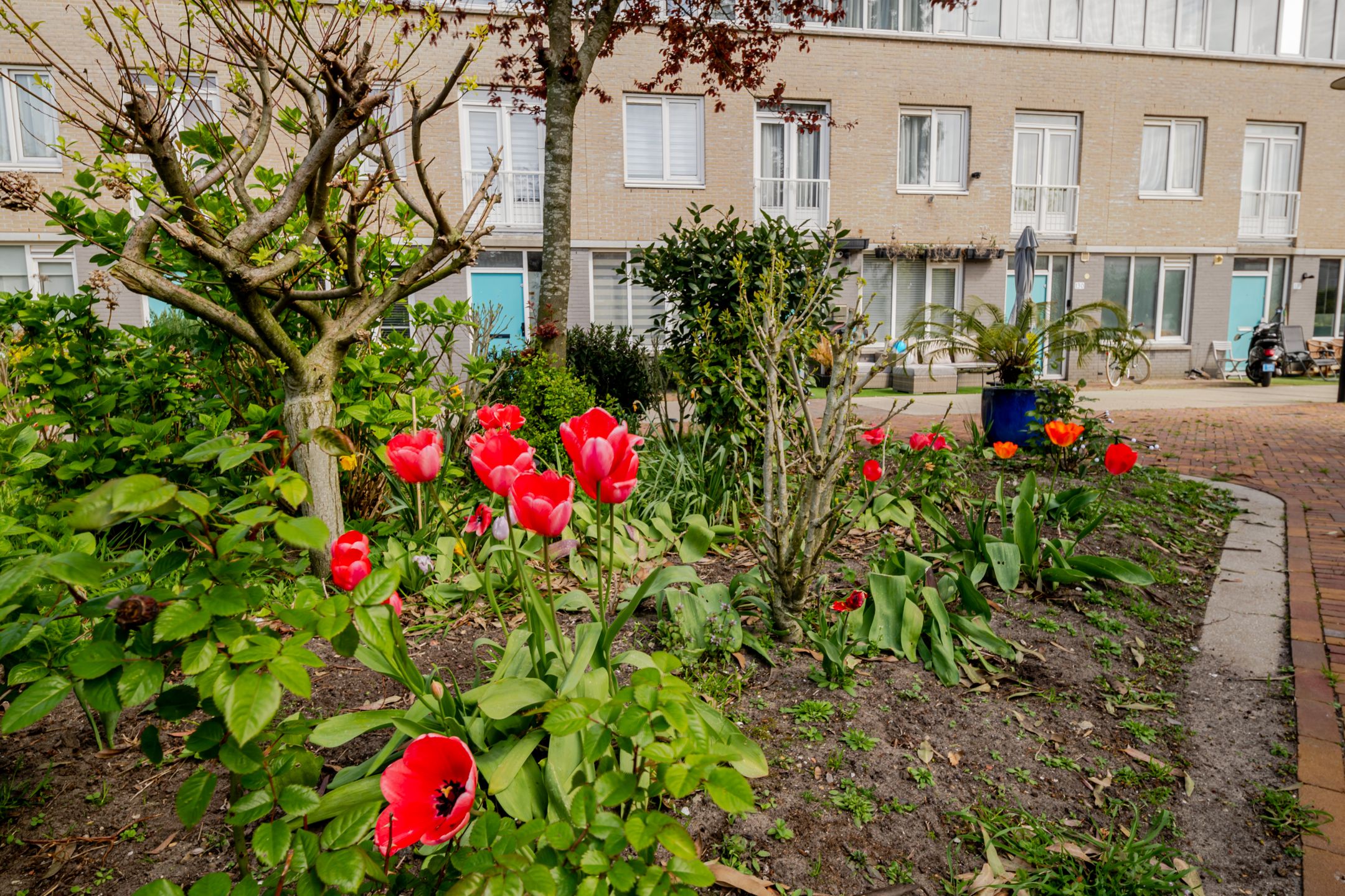 Photo 3 of Houtzagerssingel 120