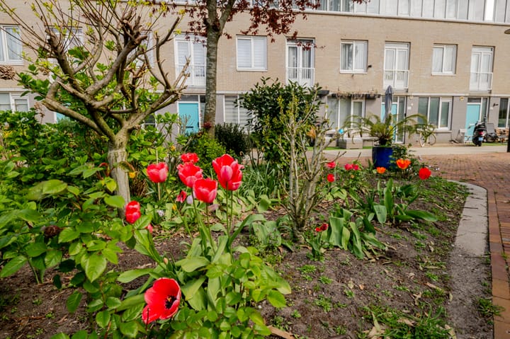 Photo 3 of Houtzagerssingel 120