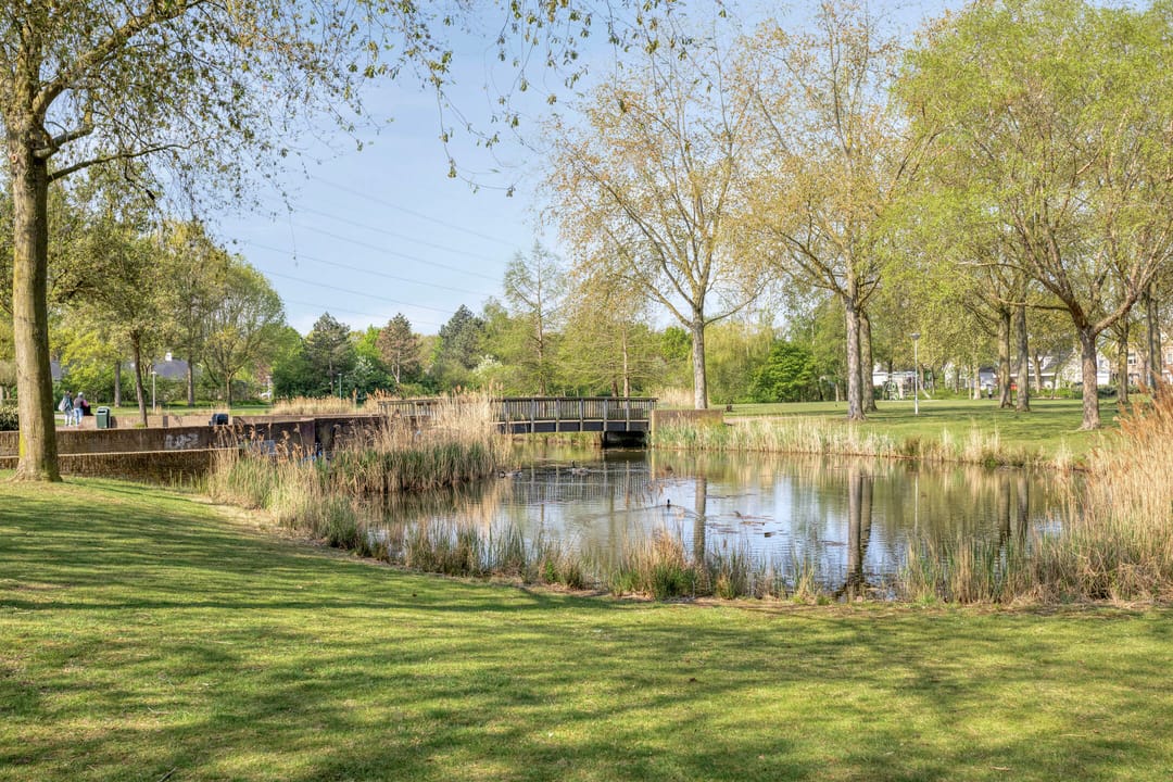 Foto 37 van Mr. C. Goselingstraat 95