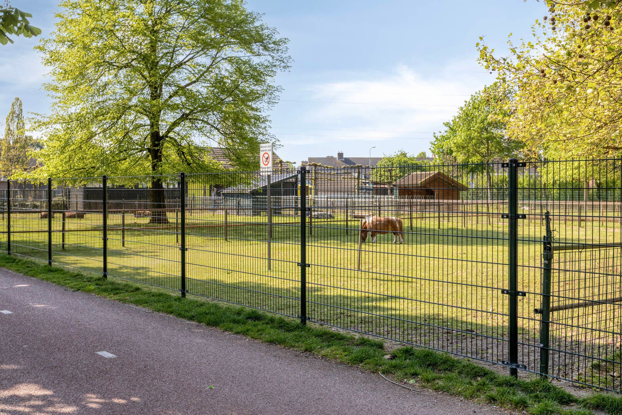 Foto 39 van Mr. C. Goselingstraat 95