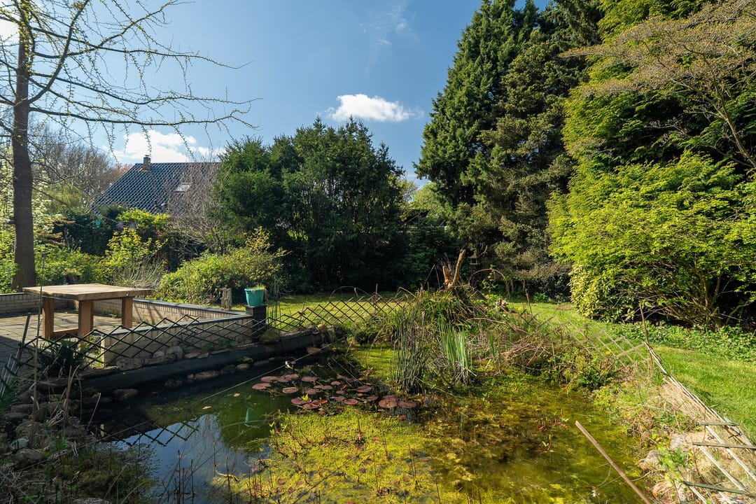 Foto 58 van Winkelakkers 7