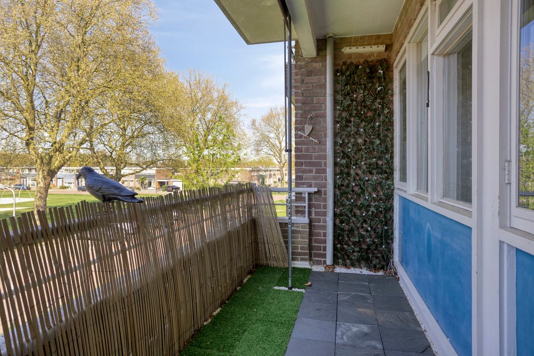 Photo 13 of Duizendschoonstraat 33