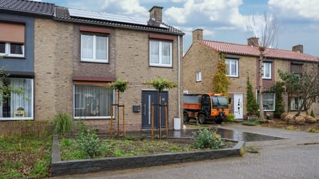 Populierenlaan thumbnail