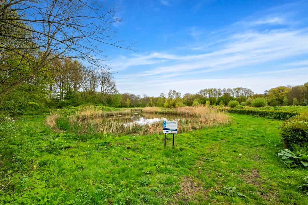 Foto 32 van Thomas Mannsingel 18-A