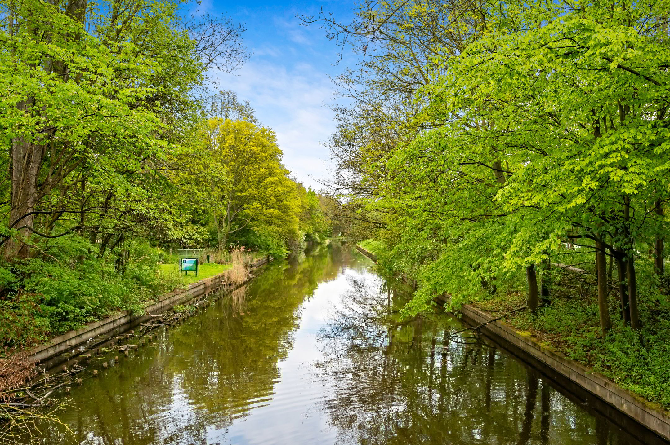 Foto 33 van Thomas Mannsingel 18-A