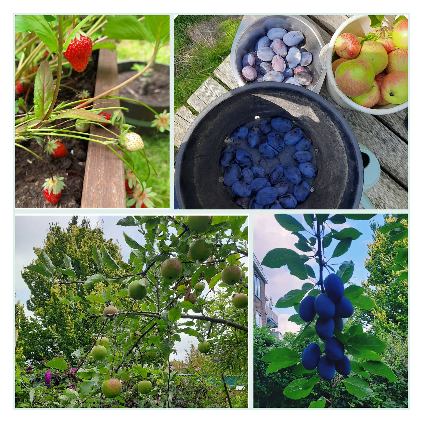 Foto 25 van Socrateslaan 38