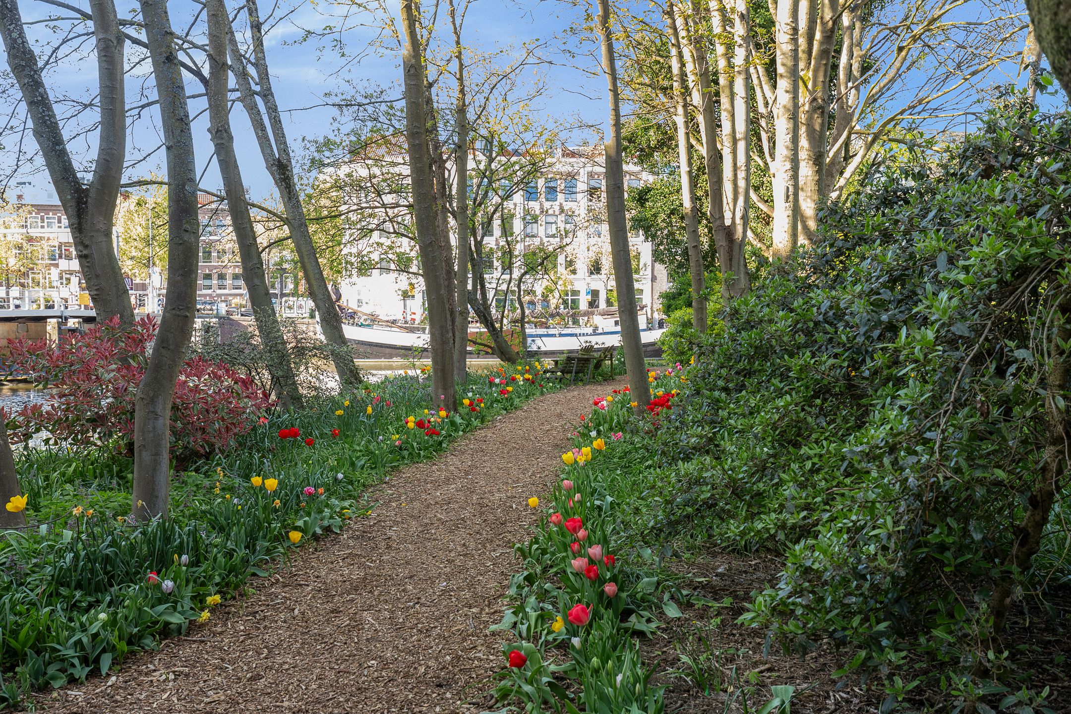 Foto 42 van Vierwindenstraat 273