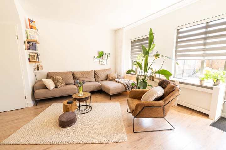 Photo 2 of Tapijtschelp 15