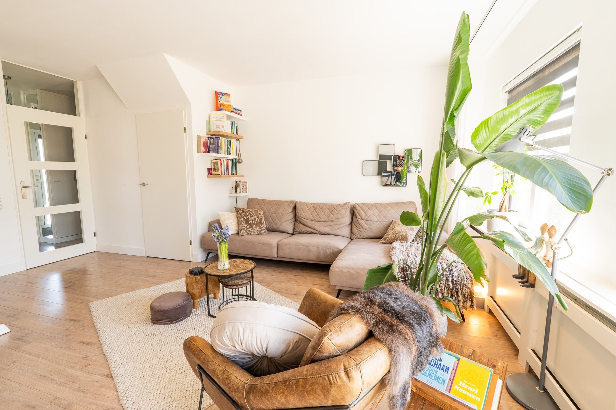 Foto 9 van Tapijtschelp 15