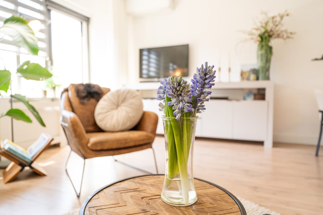 Foto 11 van Tapijtschelp 15