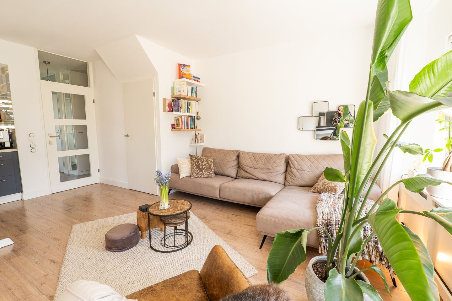 Foto 10 van Tapijtschelp 15