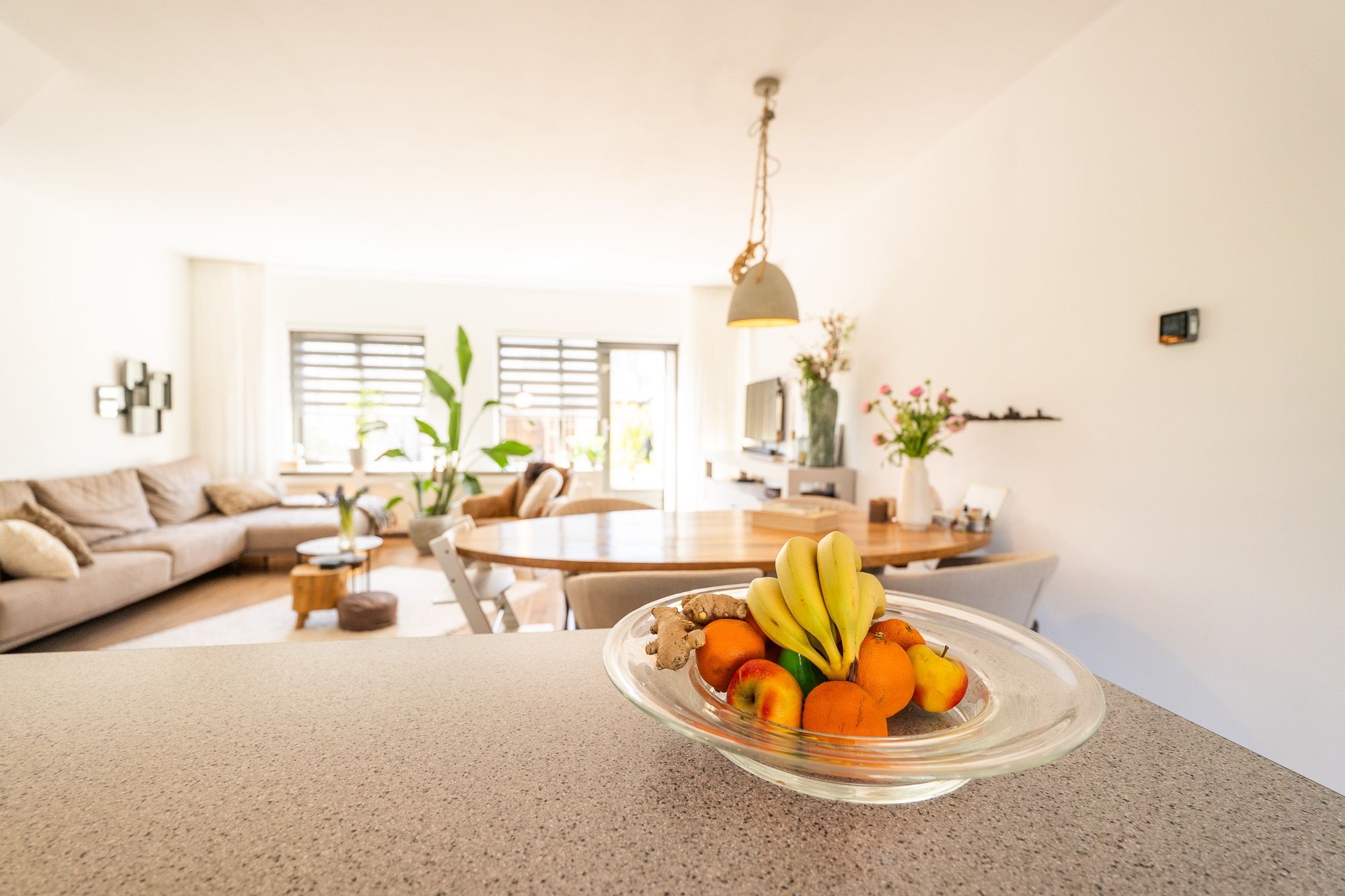 Foto 27 van Tapijtschelp 15