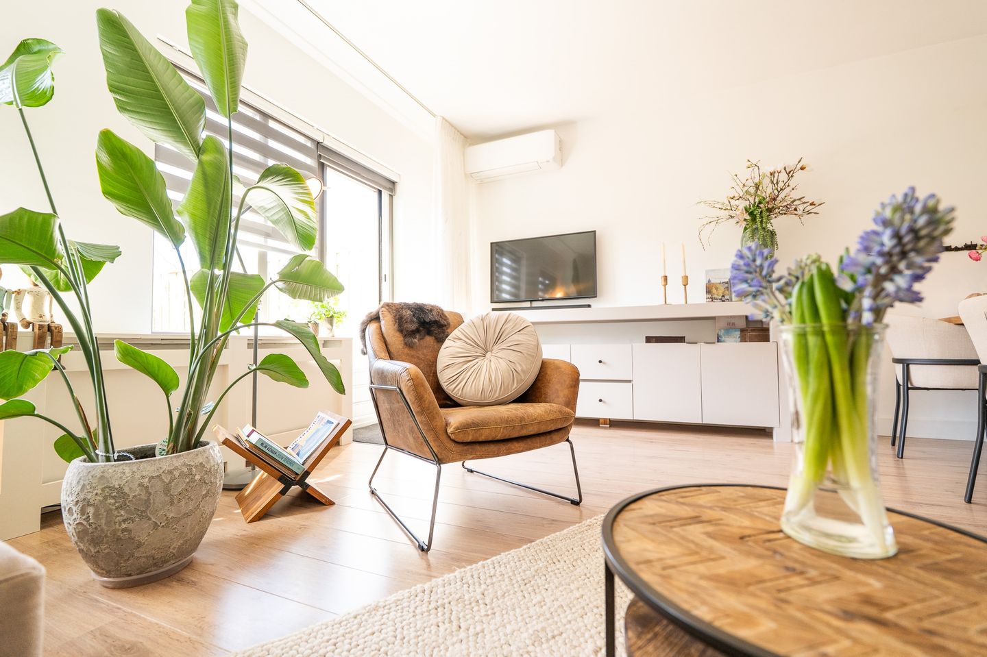 Foto 25 van Tapijtschelp 15