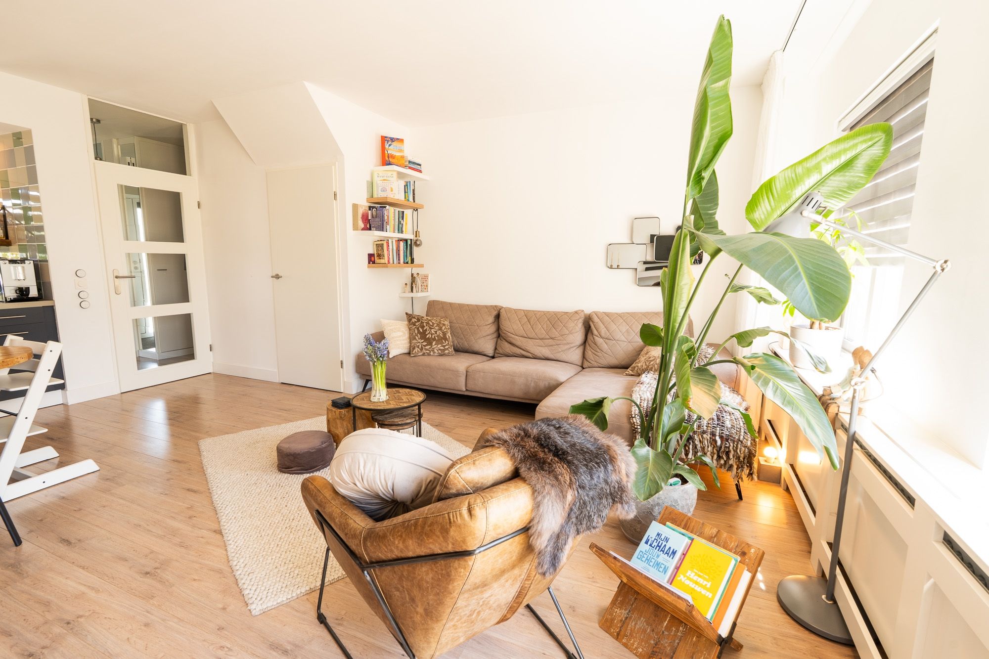 Foto 6 van Tapijtschelp 15