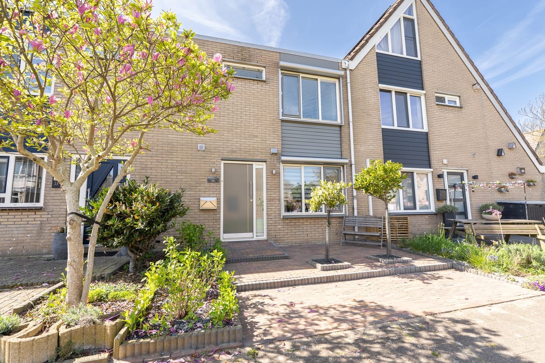 Foto 1 van Tapijtschelp 15