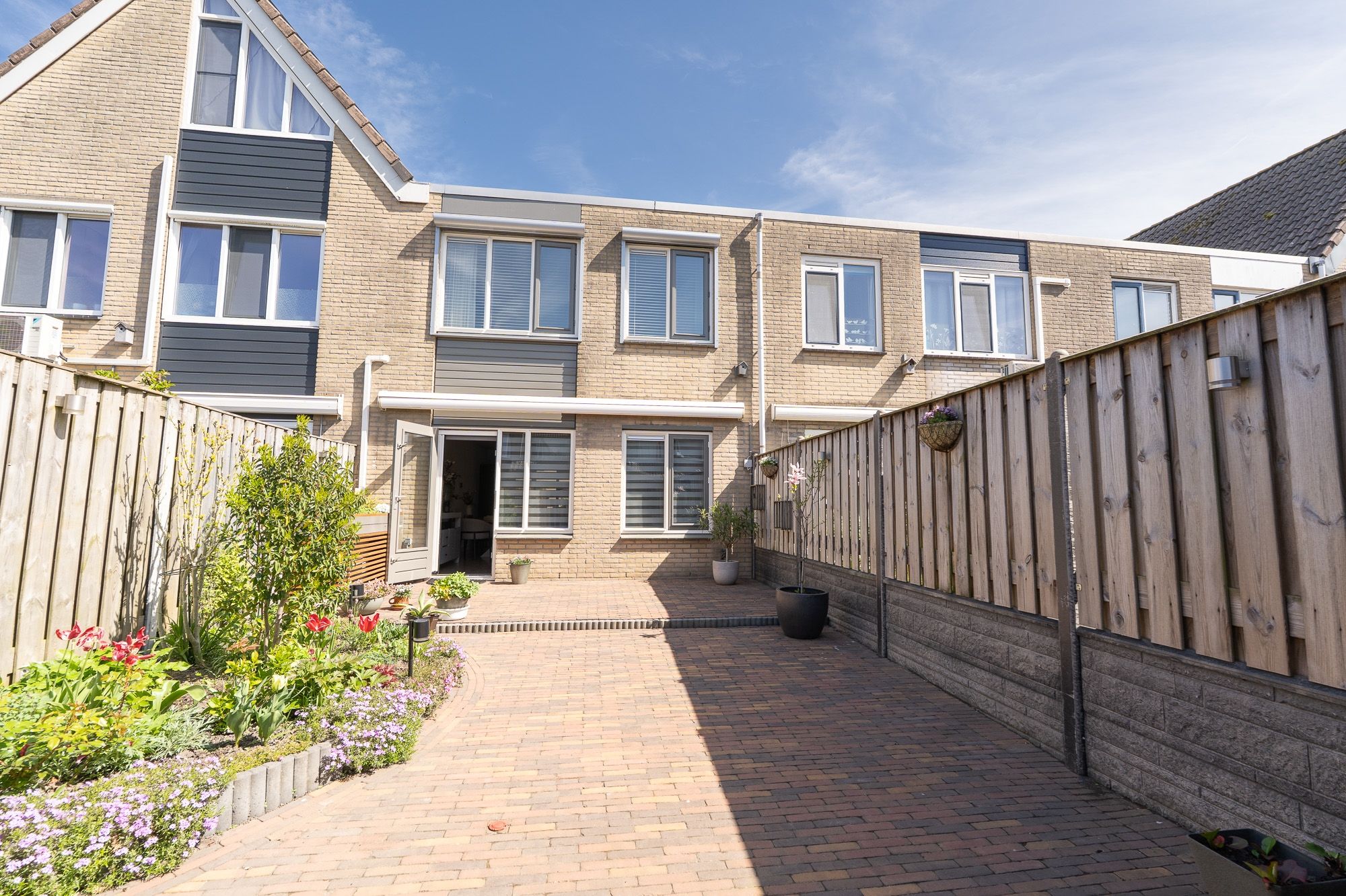 Foto 42 van Tapijtschelp 15