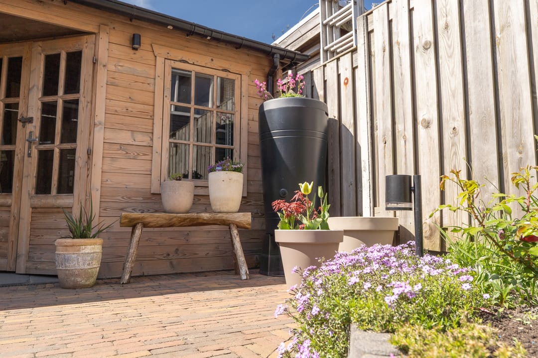 Foto 56 van Tapijtschelp 15