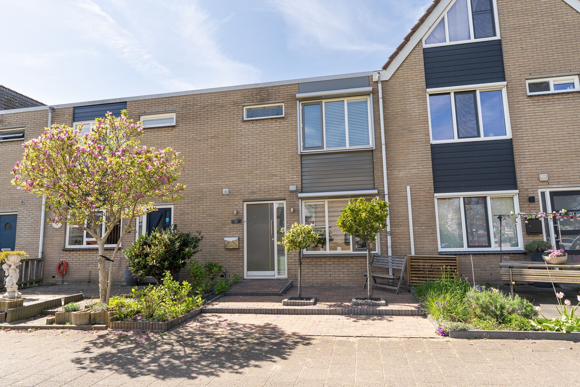 Foto 57 van Tapijtschelp 15