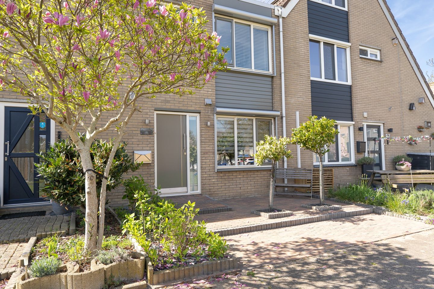 Foto 59 van Tapijtschelp 15