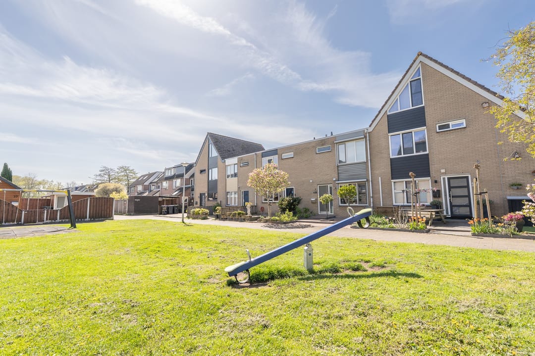 Foto 62 van Tapijtschelp 15