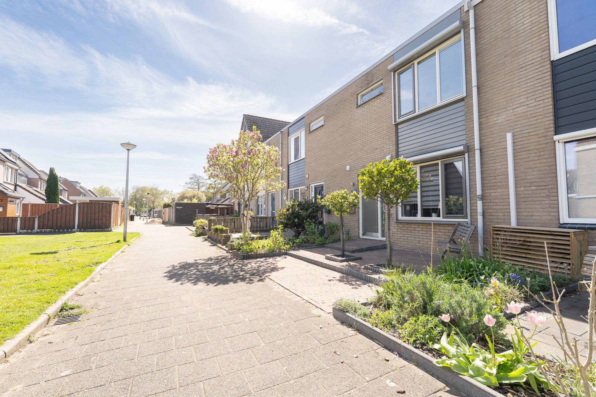 Foto 63 van Tapijtschelp 15