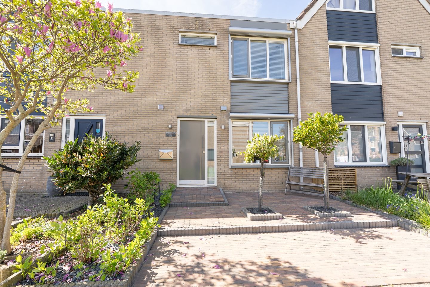 Foto 65 van Tapijtschelp 15