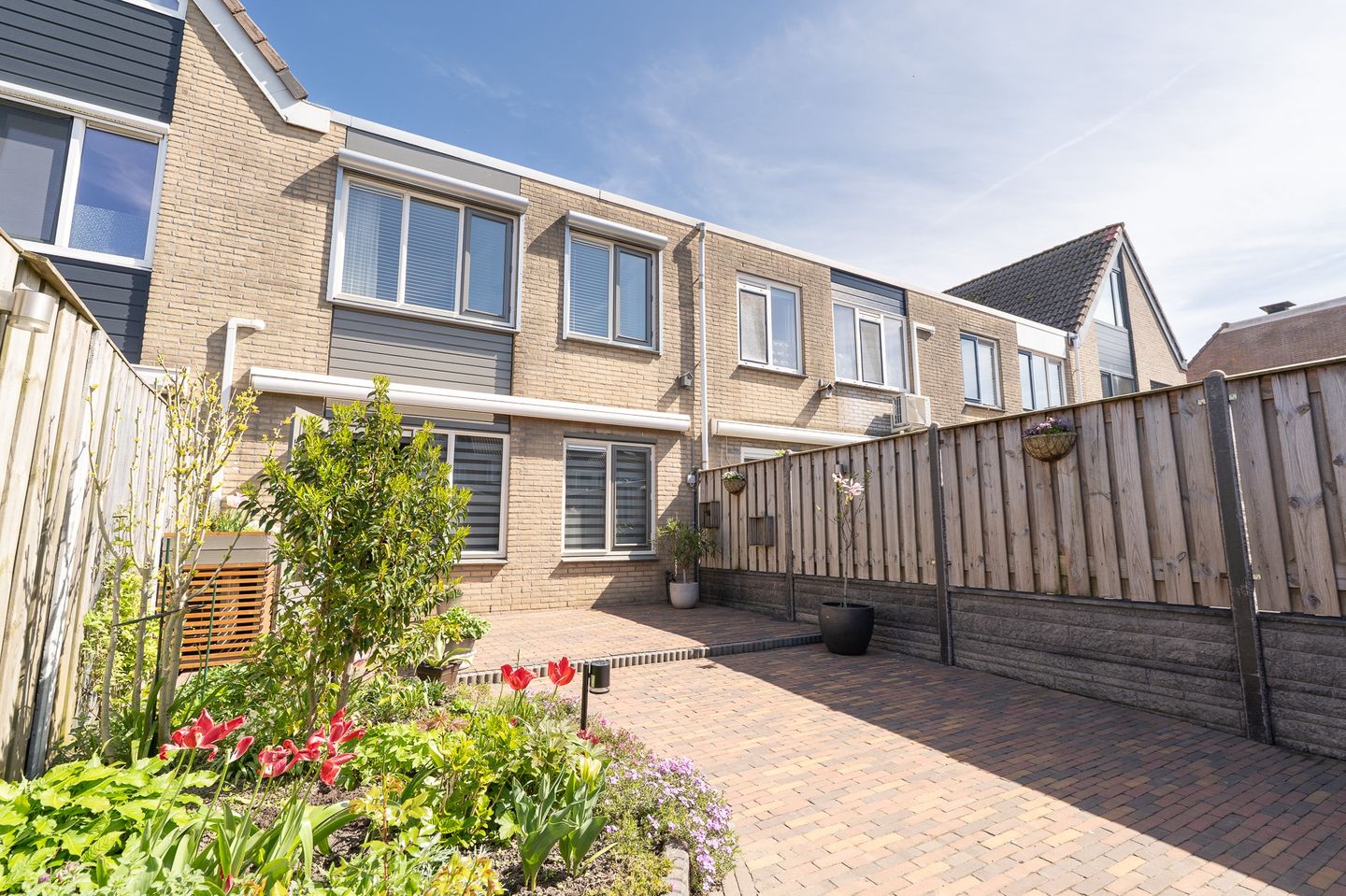 Foto 50 van Tapijtschelp 15