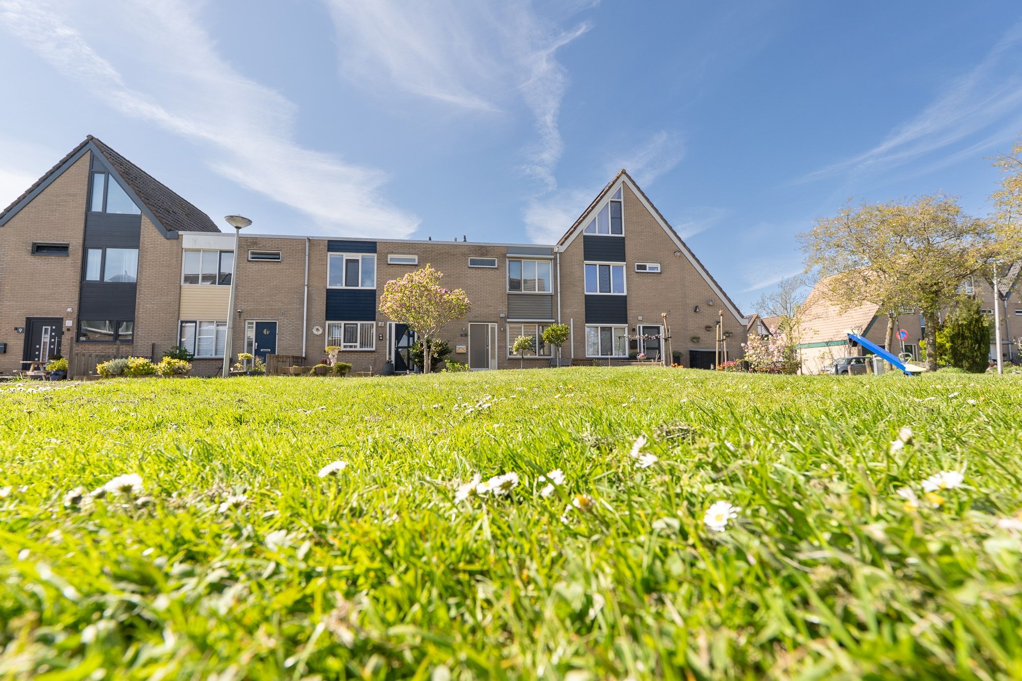 Foto 60 van Tapijtschelp 15