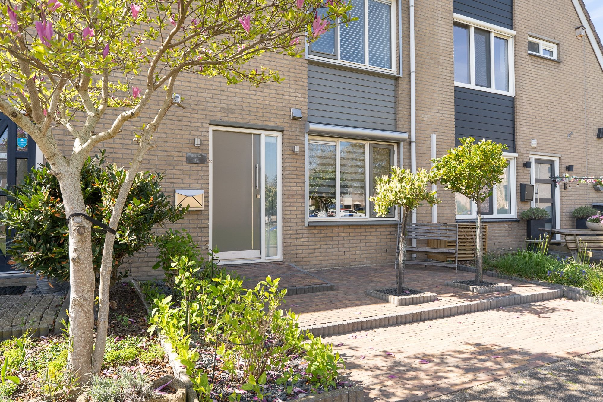 Foto 66 van Tapijtschelp 15