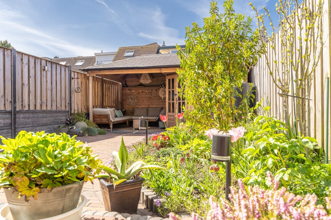 Foto 53 van Tapijtschelp 15