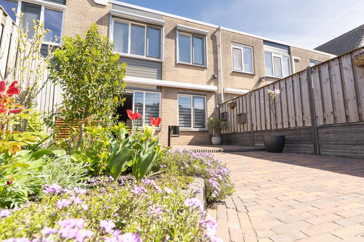 Foto 55 van Tapijtschelp 15