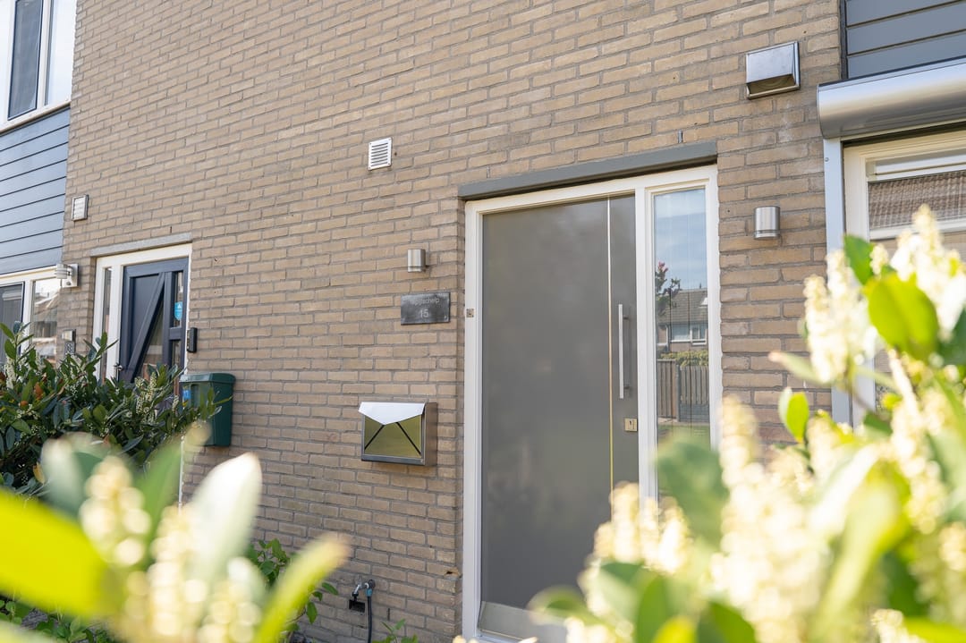 Foto 58 van Tapijtschelp 15