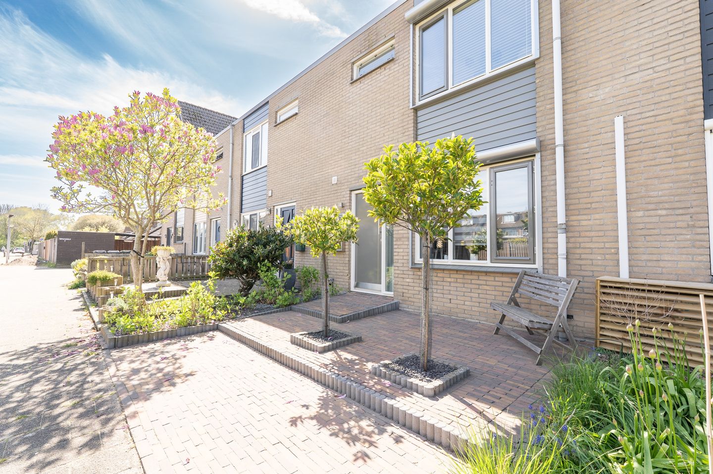 Foto 64 van Tapijtschelp 15