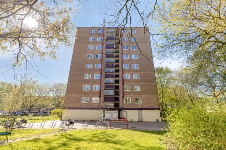 Thijssestraat 205 main image