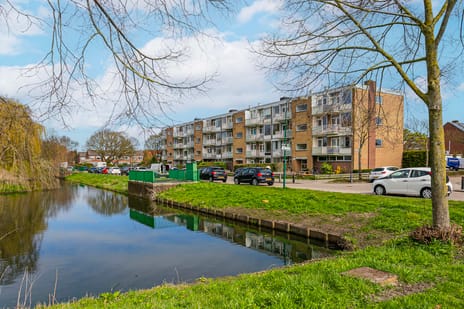 Dr. Arienslaan thumbnail