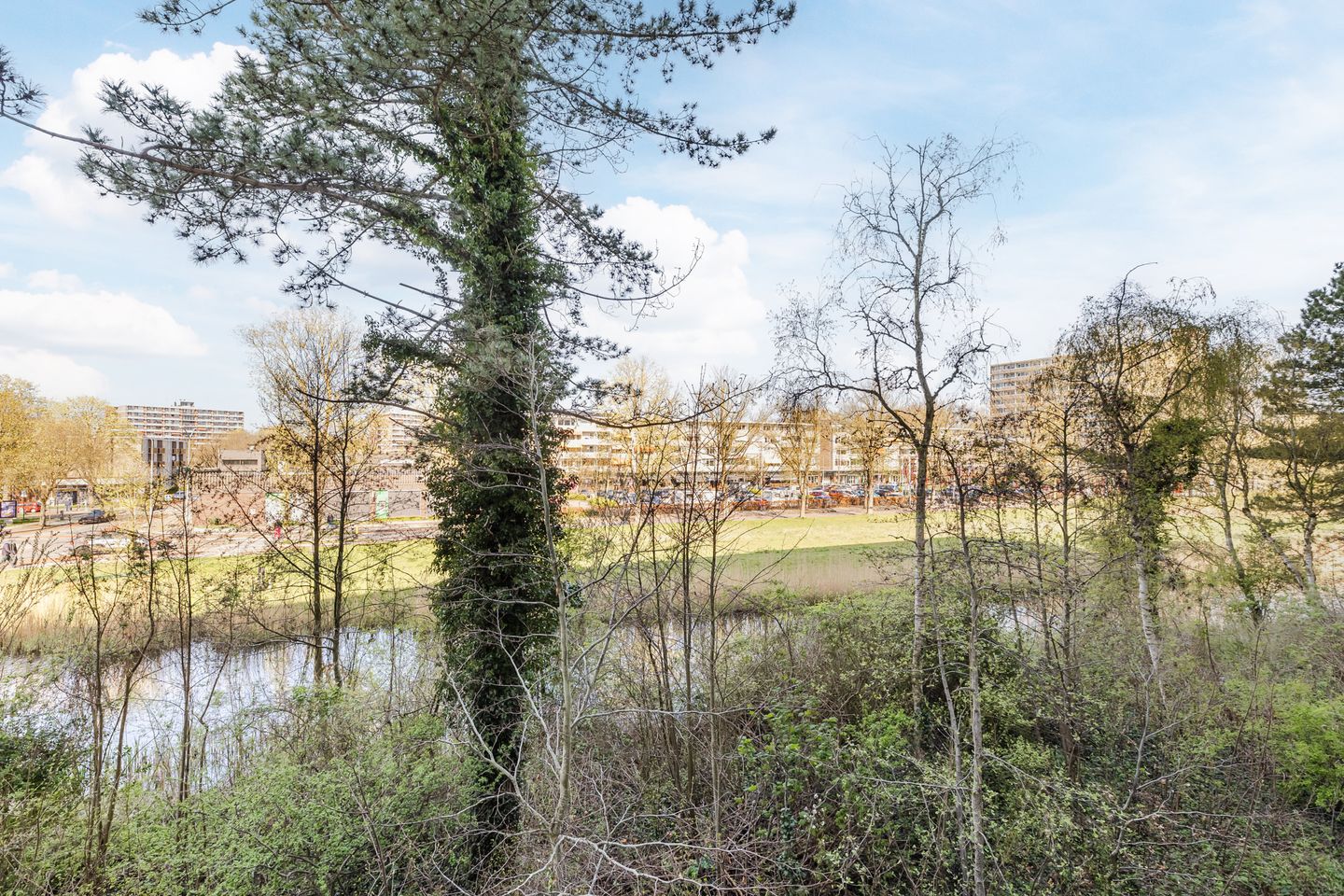 Foto 29 van Honthorstlaan 318