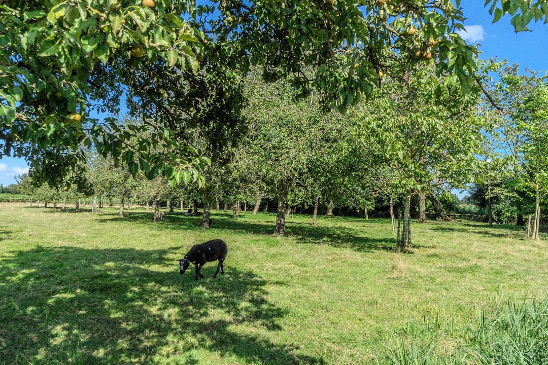 Foto 46 van De Veenhuis 4