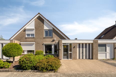 Lijnzaadstraat thumbnail