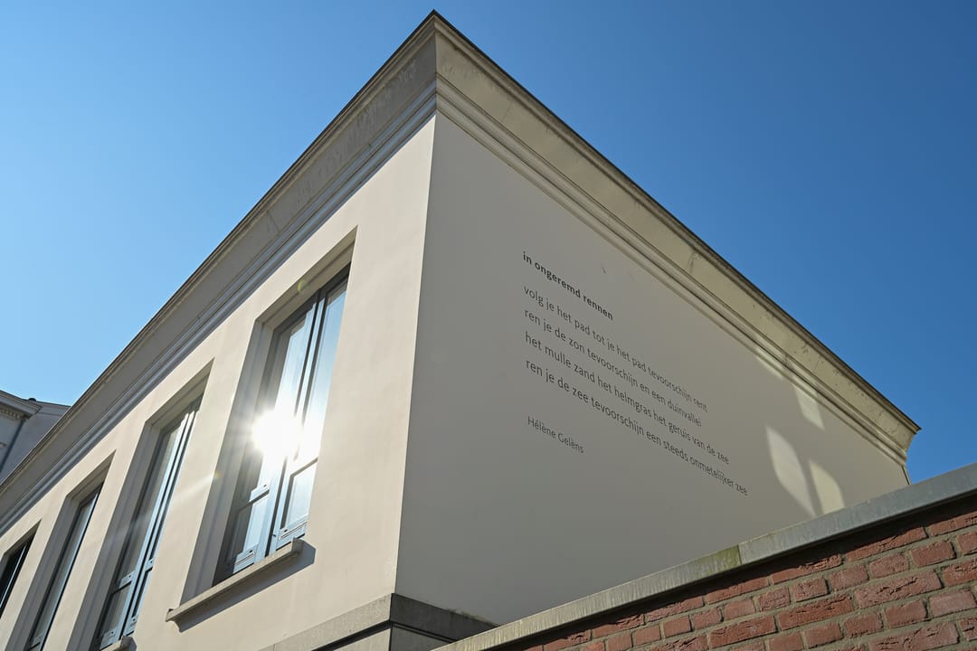 Photo 8 of Nieuwe Schoolstraat 52