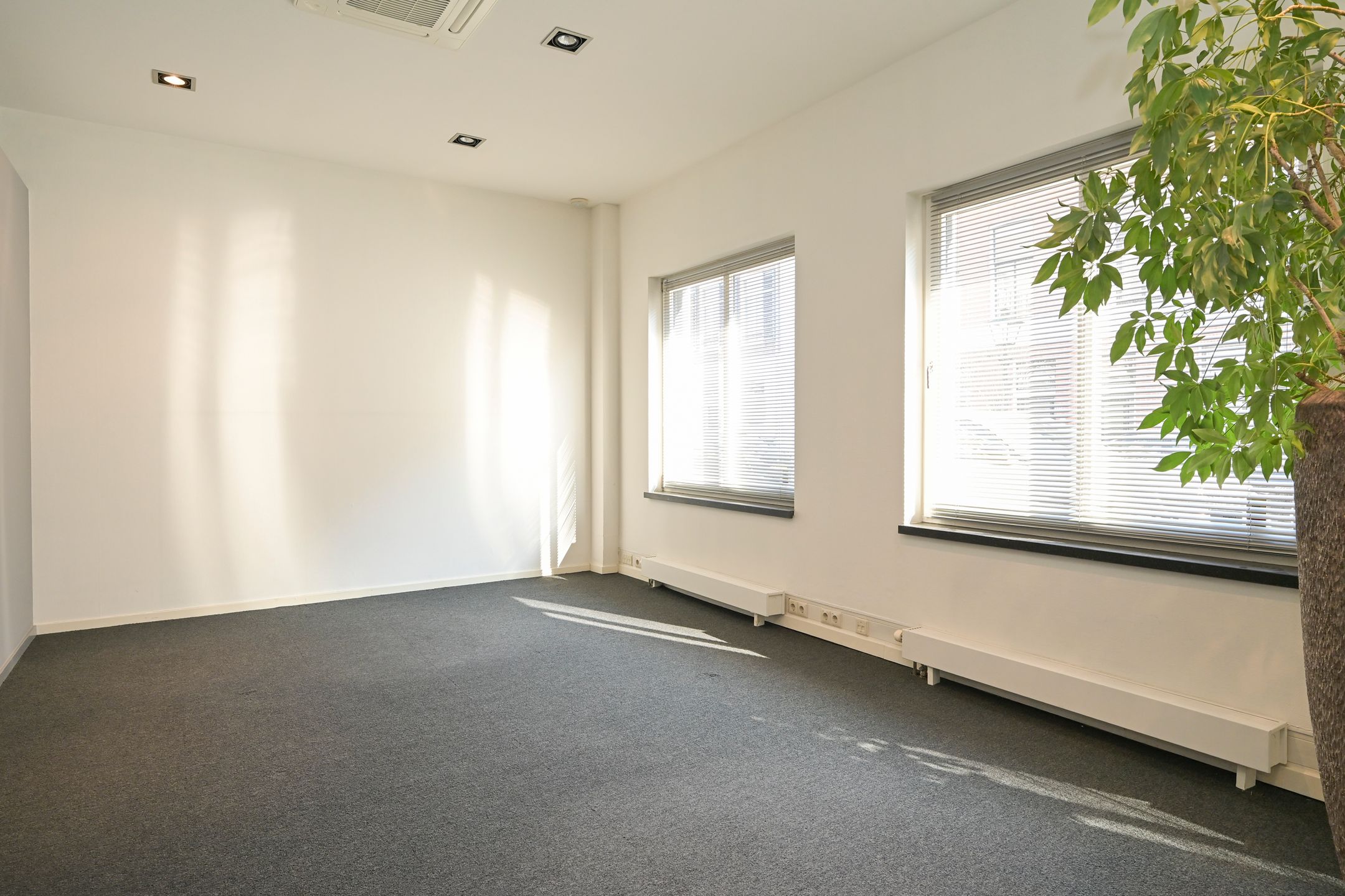 Photo 12 of Nieuwe Schoolstraat 52