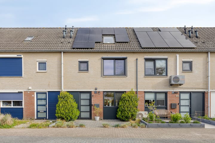 Vuurvlinder 9 main image