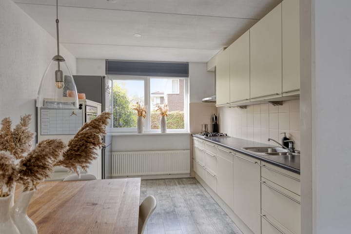 Foto 3 van Vuurvlinder 9