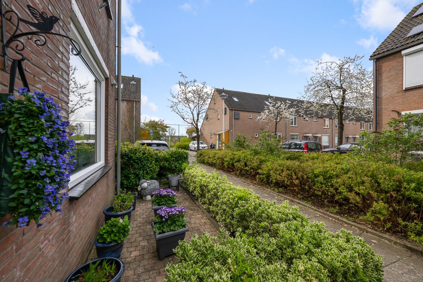 Foto 29 van Ds. Bennink Boltstraat 10