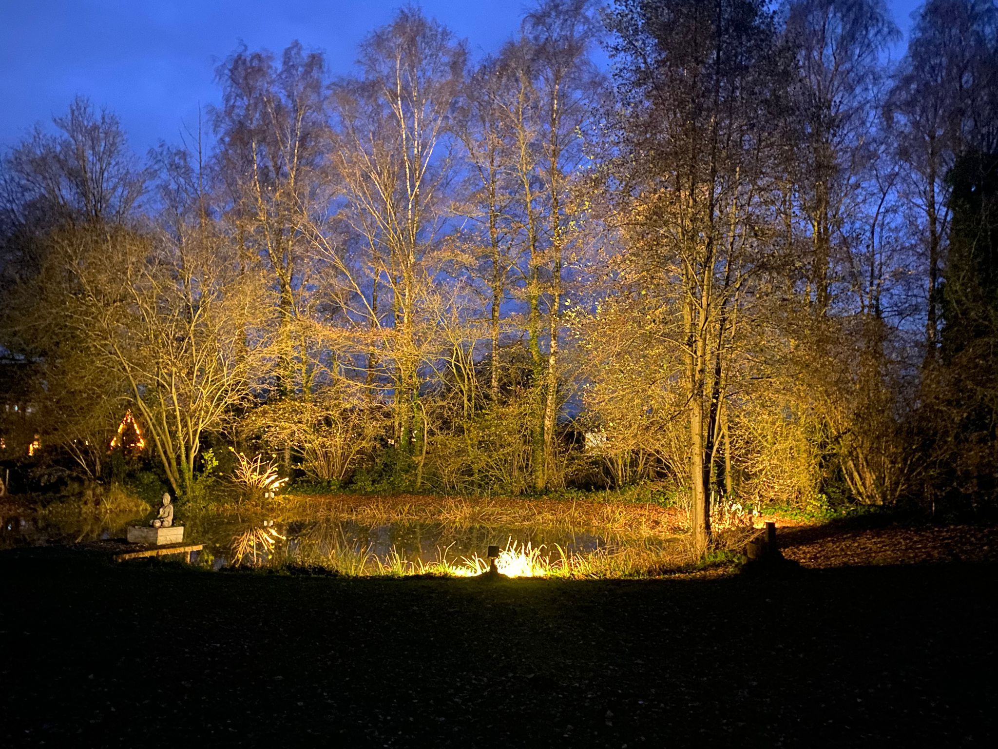 Photo 36 of Lemseloseveldweg 12